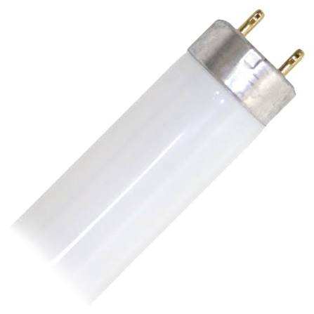 BULB F25T8/SP841 SYL